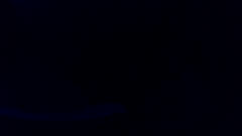pyrichar31 online show from July 16, 2026, 3:01 am