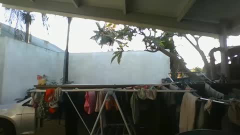 Python online show from October 9, 2025, 2:42 am