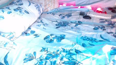 Snapshot of q_t_pie chatting on January 7, 2025, 9:46 pm Lita rat online show from January 7, 2025, 9:46 pm