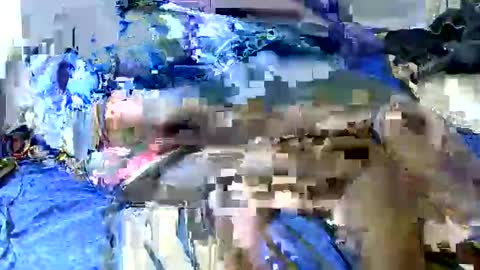 queenlacey_1 online show from March 5, 2025, 5:29 am