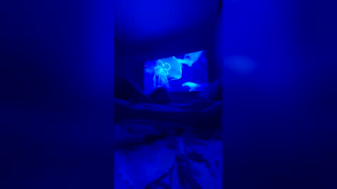 quickandcurious online show from February 6, 2026, 12:52 pm