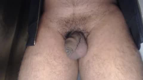 oilypanda online show from January 18, 2026, 12:53 pm