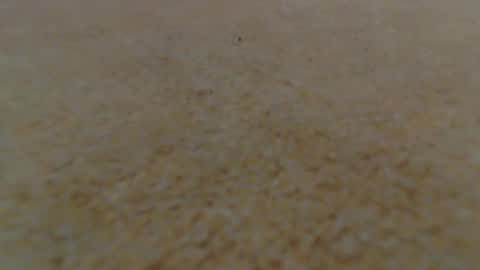 Snapshot of racefliege chatting on January 14, 2025, 6:02 am racefliege online show from January 14, 2025, 6:02 am