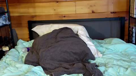 Rachel Price online show from March 2, 2025, 2:00 pm