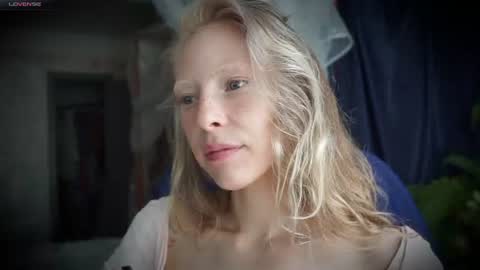 ada online show from August 2, 2026, 11:52 am