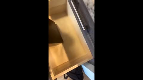 Snapshot of rainbow_randolf chatting on November 22, 2025, 7:57 pm Rainbow Randolf online show from November 22, 2025, 7:57 pm