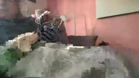 ramteichj online show from December 17, 2025, 8:42 am