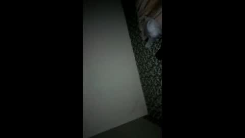 randallcody15 online show from October 6, 2025, 11:24 pm