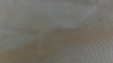 randytoy online show from June 29, 2026, 5:03 am