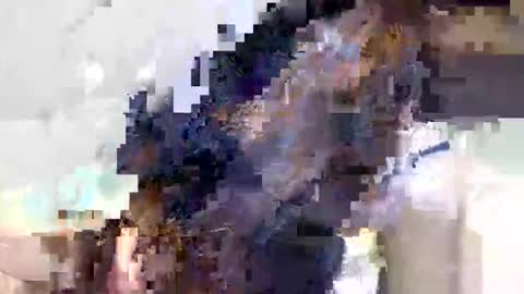 ravenblissx online show from June 9, 2026, 3:56 pm