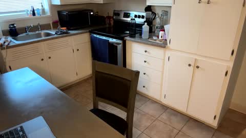 raventhebigbodybitch online show from February 2, 2025, 1:08 pm