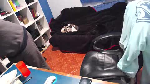 ravingr3d3 online show from December 21, 2025, 12:51 am