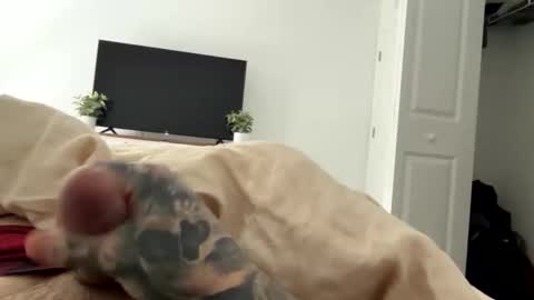 raws33x online show from February 3, 2026, 3:50 pm