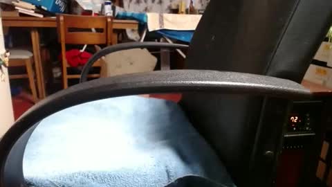 Snapshot of raysmith77777777 chatting on November 4, 2025, 12:04 pm Ray online show from November 4, 2025, 12:04 pm