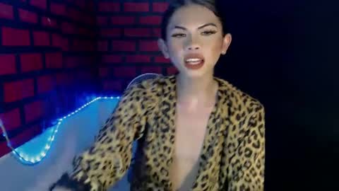 cindy online show from December 11, 2024, 3:24 am