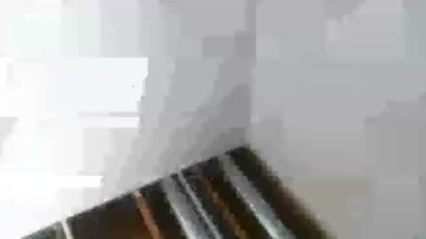 Mr Nice online show from January 6, 2025, 2:48 am