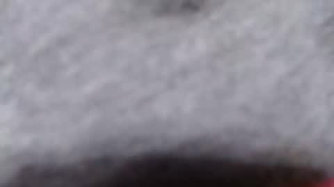 Snapshot of ready2fuk647232 chatting on November 2, 2025, 9:44 am ready2fuk647232 online show from November 2, 2025, 9:44 am