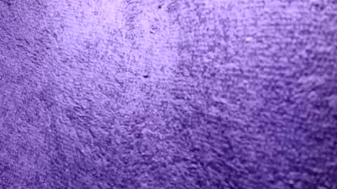 Snapshot of reafrio chatting on October 21, 2025, 6:30 pm Rasta online show from October 21, 2025, 6:30 pm