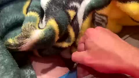 Snapshot of realbigload77 chatting on October 11, 2025, 2:55 am realbigload77 online show from October 11, 2025, 2:55 am