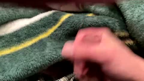 realbigload77 online show from February 24, 2026, 4:32 am