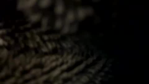 Snapshot of realmanz chatting on January 8, 2025, 6:09 pm realmanz online show from January 8, 2025, 6:09 pm