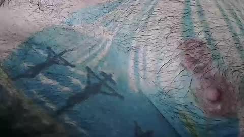 realrubpirate online show from January 10, 2026, 9:44 am