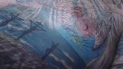 Snapshot of realrubpirate chatting on February 15, 2026, 9:08 am realrubpirate online show from February 15, 2026, 9:08 am