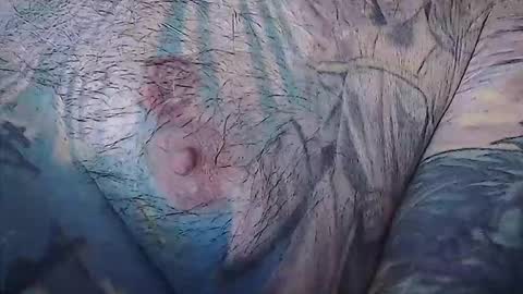 Snapshot of realrubpirate chatting on February 22, 2026, 8:57 am realrubpirate online show from February 22, 2026, 8:57 am