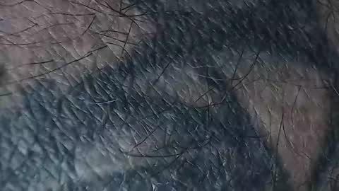 Snapshot of realrubpirate chatting on March 18, 2026, 8:50 am realrubpirate online show from March 18, 2026, 8:50 am