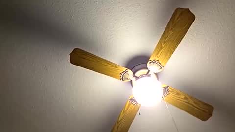 Snapshot of red24devils chatting on October 26, 2025, 5:41 pm red24devils online show from October 26, 2025, 5:41 pm