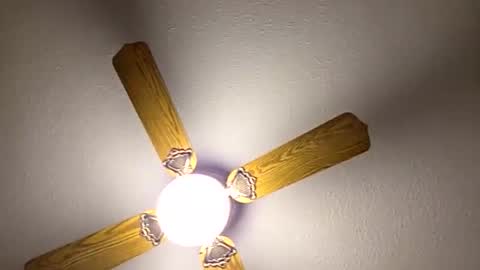 red24devils online show from March 14, 2026, 12:39 am