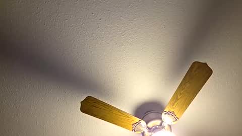 red24devils online show from June 3, 2026, 1:19 am