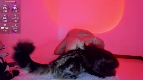 red_morgan online show from January 19, 2025, 2:04 am