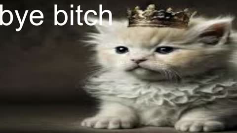 Snapshot of red_queeen chatting on December 28, 2024, 5:02 am QUEEN OF EVIL online show from December 28, 2024, 5:02 am