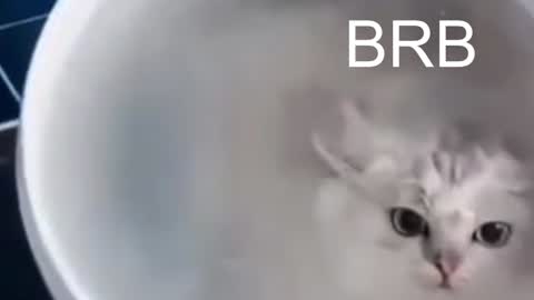 Snapshot of red_queeen chatting on January 12, 2025, 10:54 pm QUEEN OF EVIL online show from January 12, 2025, 10:54 pm