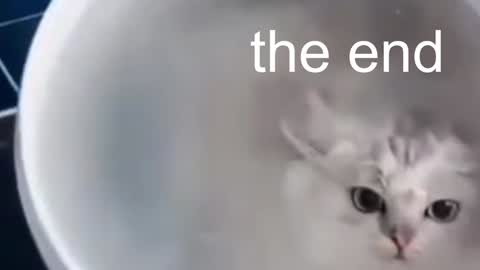 Snapshot of red_queeen chatting on January 13, 2025, 1:56 am QUEEN OF EVIL online show from January 13, 2025, 1:56 am