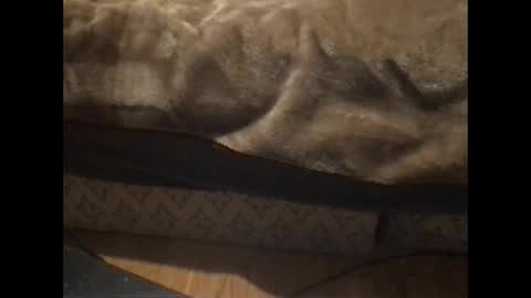 Redfox online show from January 5, 2026, 5:38 pm