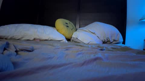 Snapshot of reeferleefer chatting on January 1, 2025, 6:26 am Lee online show from January 1, 2025, 6:26 am