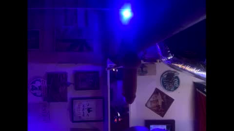 Snapshot of reeferleefer chatting on October 5, 2025, 10:13 am Lee online show from October 5, 2025, 10:13 am