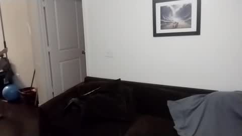 Snapshot of reelfreaky chatting on September 21, 2025, 8:38 am shy online show from September 21, 2025, 8:38 am