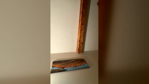 RhinoDickasaurus online show from December 17, 2025, 7:58 am