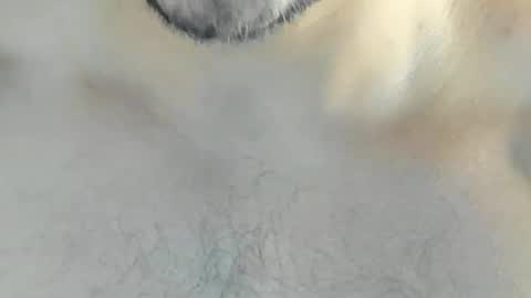 Snapshot of ricardogonzalez666 chatting on December 10, 2024, 4:24 am ricardogonzalez666 online show from December 10, 2024, 4:24 am