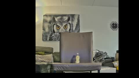 Snapshot of richard__076__ chatting on April 3, 2026, 7:01 pm richard__076__ online show from April 3, 2026, 7:01 pm