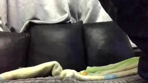 Babu online show from February 10, 2026, 2:15 am