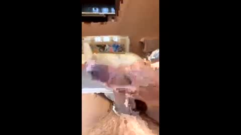 richmondal83 online show from October 22, 2025, 3:01 pm