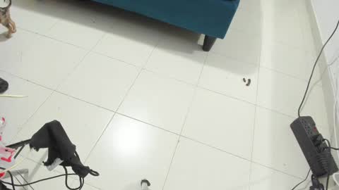 Rihanna hotx online show from November 12, 2025, 2:56 am