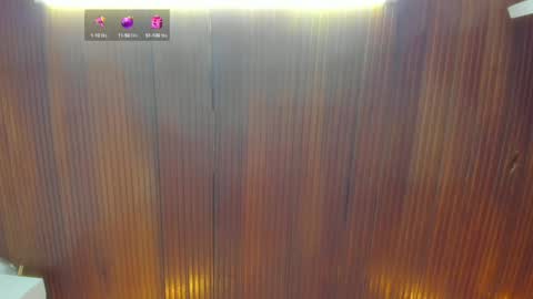 Snapshot of riley_reid_19 chatting on December 15, 2024, 3:02 am kamila online show from December 15, 2024, 3:02 am