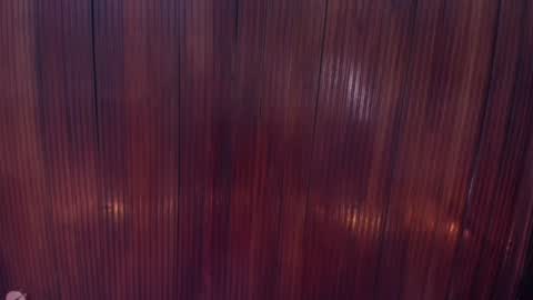 Snapshot of riley_reid_19 chatting on December 16, 2024, 2:05 pm kamila online show from December 16, 2024, 2:05 pm