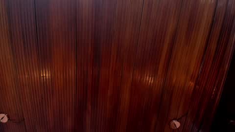 Snapshot of riley_reid_19 chatting on December 24, 2024, 2:12 pm kamila online show from December 24, 2024, 2:12 pm