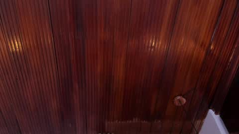 Snapshot of riley_reid_19 chatting on January 10, 2025, 2:13 pm kamila online show from January 10, 2025, 2:13 pm